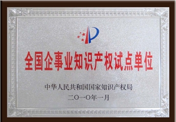 天下企奇迹常识产权试点单元